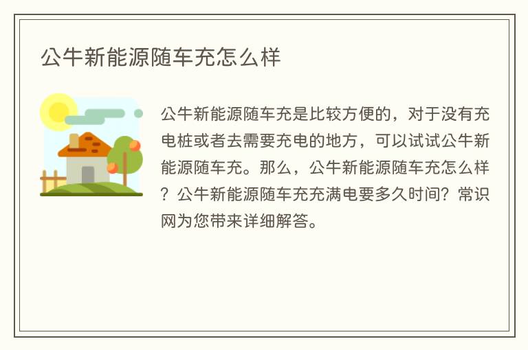 公牛新能源随车充怎么样