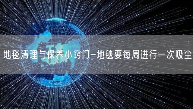 地毯清理与保养小窍门-地毯要每周进行一次吸尘